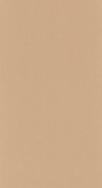 Tapeta BRUME CARAMEL Casadeco 202732432 1
