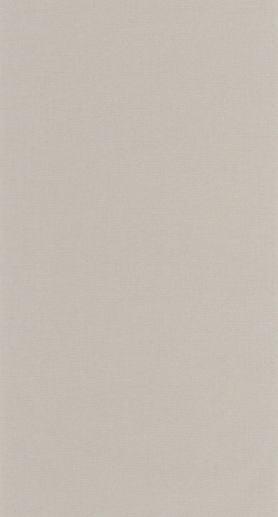 Tapeta UNI GRIS TOURTERELLE Caselio 107999416 1
