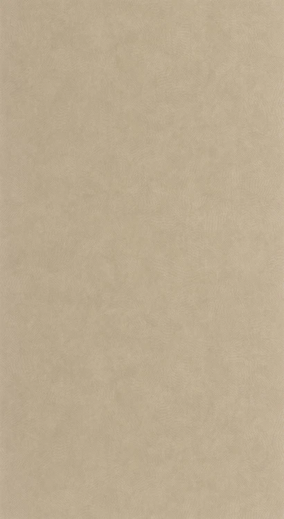 Tapeta SOLEA BEIGE LIN Casadeco 202661212 1