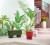 Mural EDEN TROPICAL INTISSE Casadeco WDWT202337212NW 2