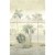 Mural VALLEE DU DRAA VINYLE Casadeco WDWT202327104V 1