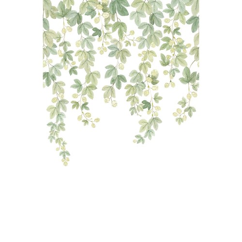 Mural FRUIT DU HOUBLON VINYLE Casadeco WDWT202317904V 1