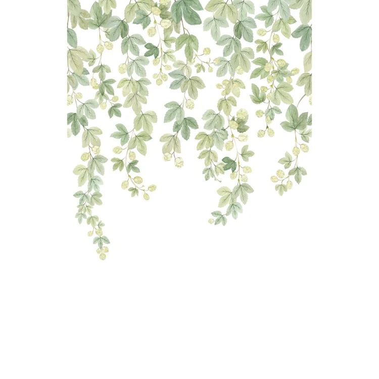 Mural FRUIT DU HOUBLON INTISSE Casadeco WDWT202317804NW 1