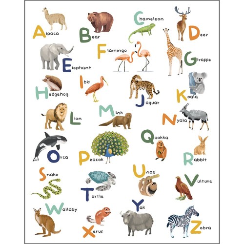 Mural LET S LEARN THE ALPHABET MULTICOULEURS Caselio 105857003, 105857004, 105857005 1
